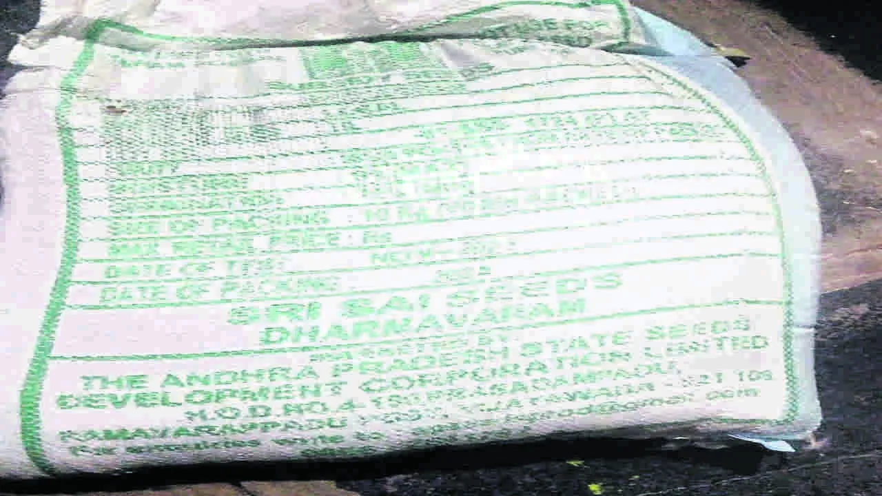 SEED: ప్రత్నామ్నాయ విత్తన పంపిణీ ఎప్పుడో..?