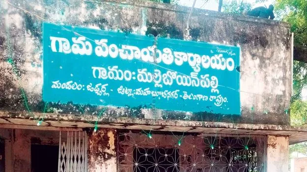 బీసీ గెలుపు.. 44.22 శాతం!