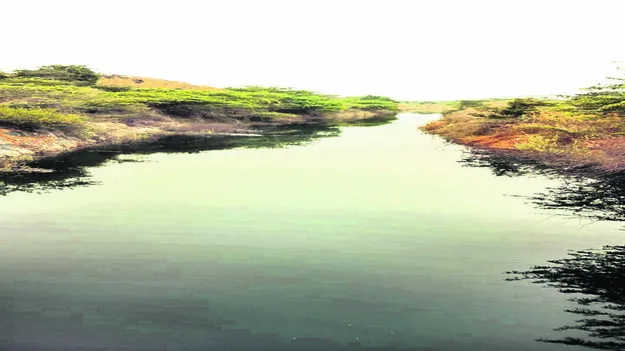 WATER: మండలకేంద్రానికి చేరిన కృష్ణాజలాలు 