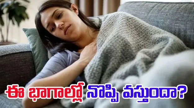 Important Health Tips: జాగ్రత్త.. ఈ భాగాల్లో నొప్పిని సీరియస్‌గా తీసుకోండి! 