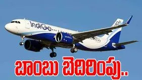 Bomb Threat to Indigo Flight: విమానానికి బాంబు బెదిరింపు.. ముంబైకి మళ్లింపు 
