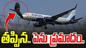 IndiGo Flight: విమానాన్ని ఢీకొన్న పక్షి.. తప్పిన ప్రమాదం