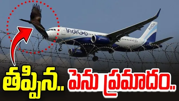 IndiGo Flight: విమానాన్ని ఢీకొన్న పక్షి.. తప్పిన ప్రమాదం