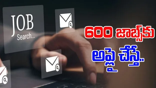 Job Hunt in India: కెనడా నుంచి తిరిగొచ్చాక.. 600 జాబ్స్‌కు అప్లై చేస్తే.. 