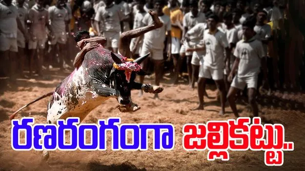 Jallikattu: రణరంగాన్ని తలపించిన జల్లికట్టు.. యువకులకు గాయాలు