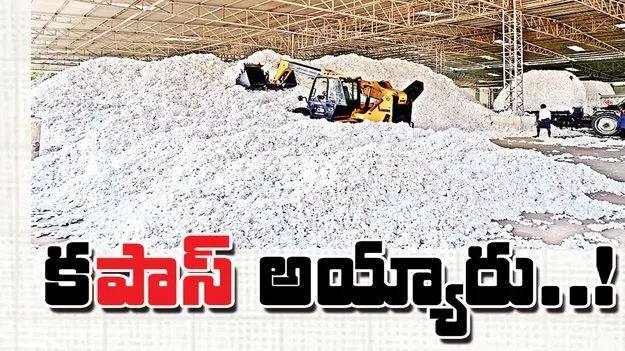 కపాస్‌ అయ్యారు..!