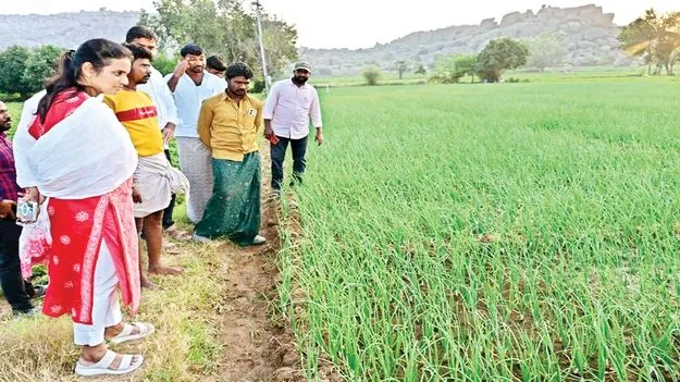 సమస్యల పరిష్కారానికి చర్యలు: కలెక్టర్‌