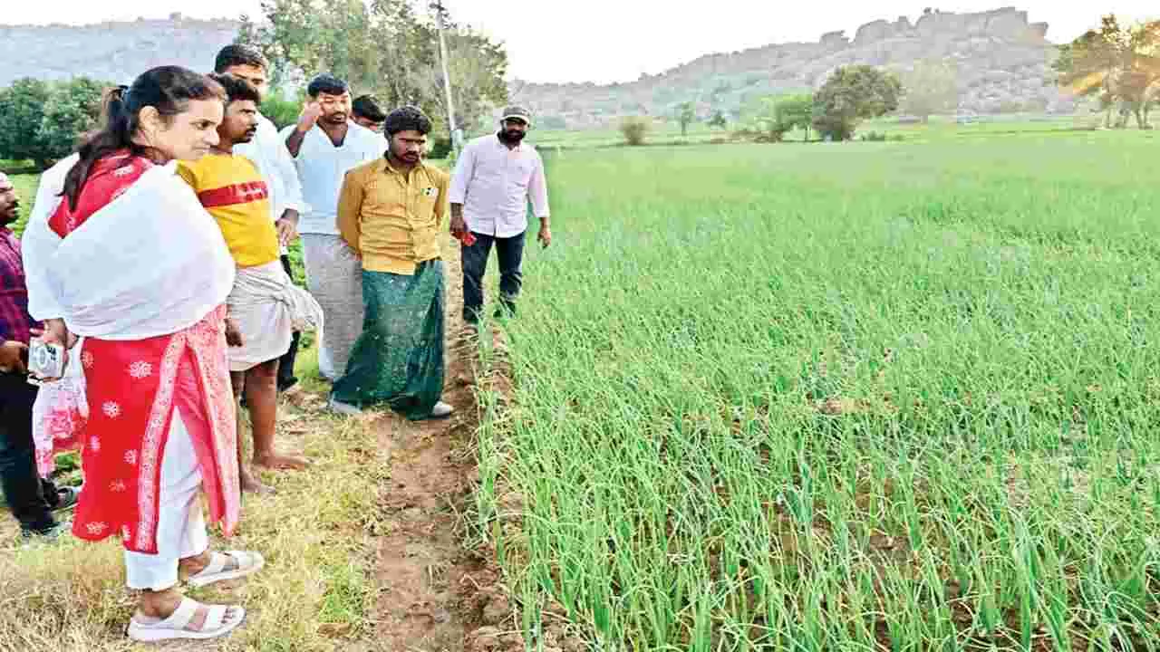 సమస్యల పరిష్కారానికి చర్యలు: కలెక్టర్‌