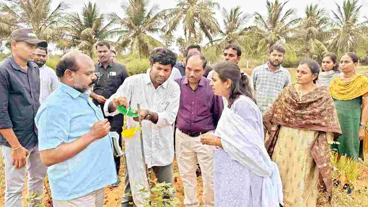 పంట మార్పిడితో అధిక దిగుబడి : కలెక్టర్‌