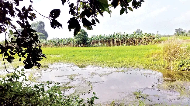  Lands  పేదల భూముల్లో .. పెద్దల పాగా! 