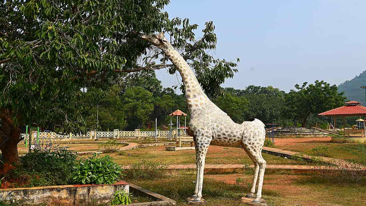 Photo Story: స్టీమ్ రోడ్ రోలర్ నుంచి పింక్ కలర్ పుట్టగొడుగు వరకూ.. ఆశ్చర్యపరిచే చిత్రాలు మీ కోసం.. 