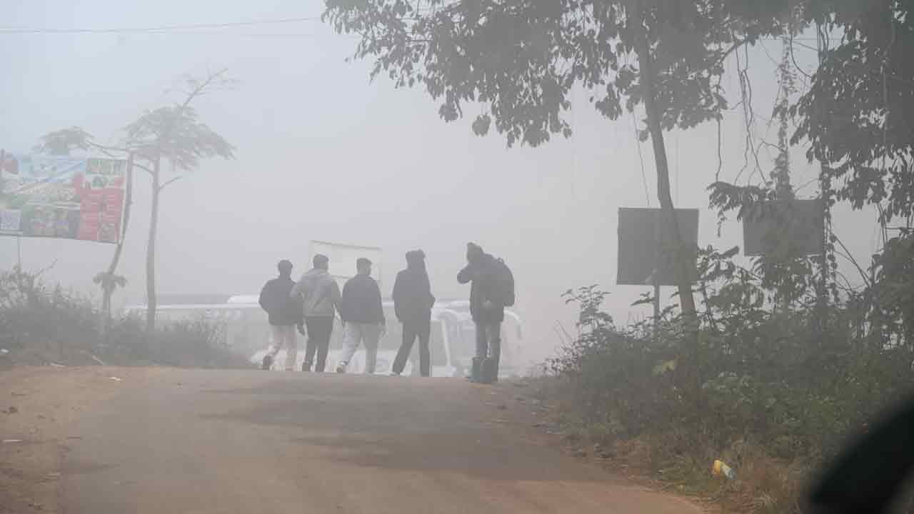 Vanjangi Lambasingi: పర్యాటకులను కట్టిపడేస్తున్న వంజంగి, లంబసింగి అందాలు.. 