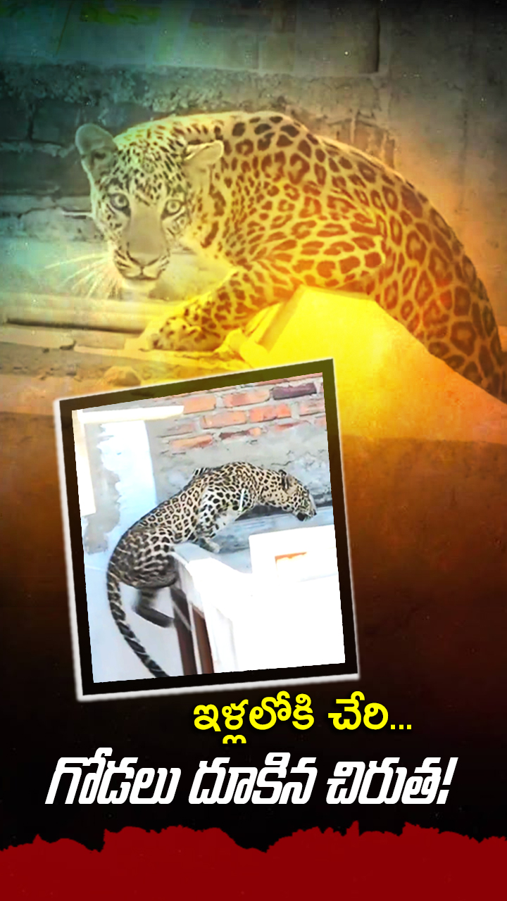 ABN Andhrajyothy Telugu Short News Video - Quick News Updates in 60 Seconds