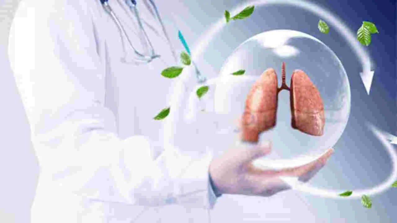 Natural Tips For Lungs: ఊపిరితిత్తులను సహజంగా ఇలా క్లీన్ చేసుకోవచ్చు.!