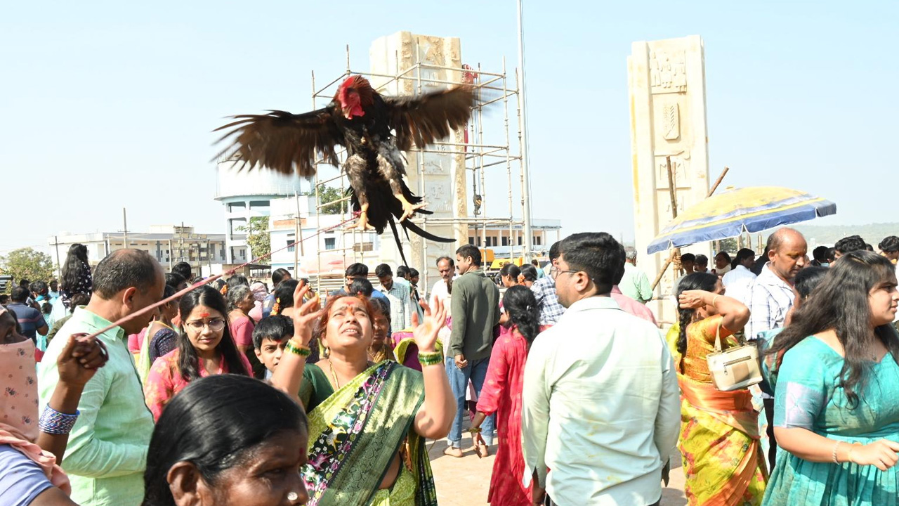 మేడారం జాతరకు పొటెత్తిన భక్తులు
