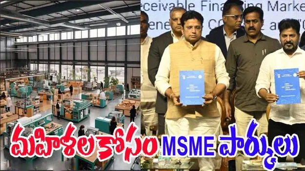 Telangana Women MSME Parks: తెలంగాణలోని ప్రతి అసెంబ్లీ నియోజకవర్గంలో మహిళల కోసం ప్రత్యేక MSME పార్కులు.. 