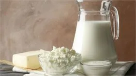 Dairy Products Health Benefits: ఈ పాల ఉత్పత్తులు క్యాన్సర్ కణాలను చంపుతాయని మీకు తెలుసా?