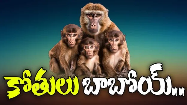 Huzurabad Monkey Menace: 'కోతులు బాబోయ్' అంటూ ఆ ఊరి ప్రజల గగ్గోలు.. ఎక్కడంటే.?