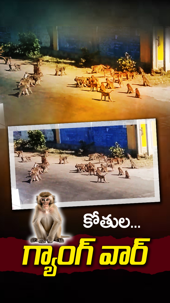 ABN Andhrajyothy Telugu Short News Video - Quick News Updates in 60 Seconds