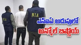 Gangster Anmol Bishnoi: అన్మోల్ బిష్ణోయ్‌ను డిపోర్ట్ చేసిన యూఎస్.. అరెస్టు చేసిన ఎన్ఐఏ