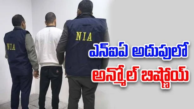 Gangster Anmol Bishnoi: అన్మోల్ బిష్ణోయ్‌ను డిపోర్ట్ చేసిన యూఎస్.. అరెస్టు చేసిన ఎన్ఐఏ