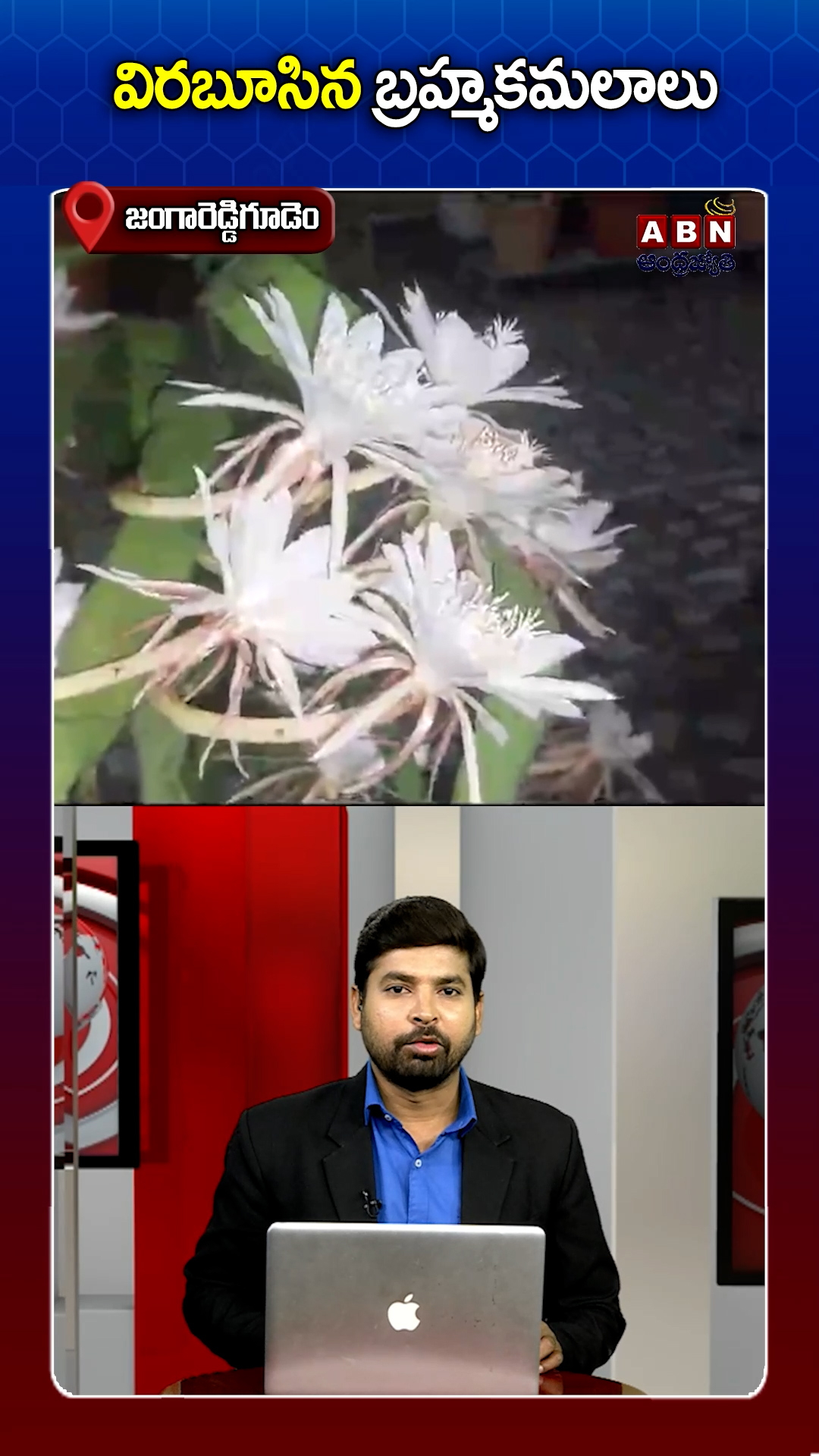 ABN Andhrajyothy Telugu Short News Video - Quick News Updates in 60 Seconds