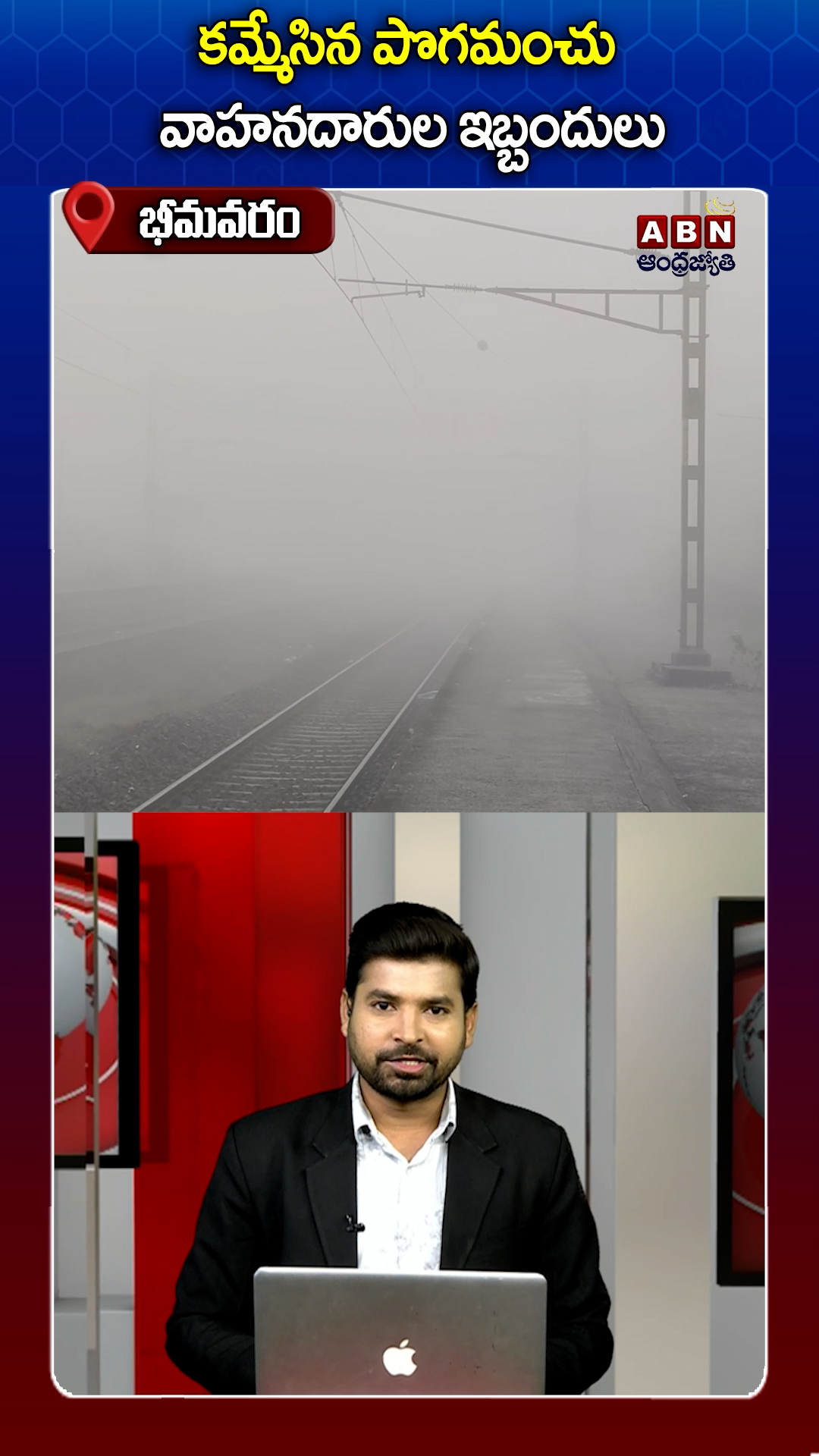 పొగమంచు కమ్మేసింది!