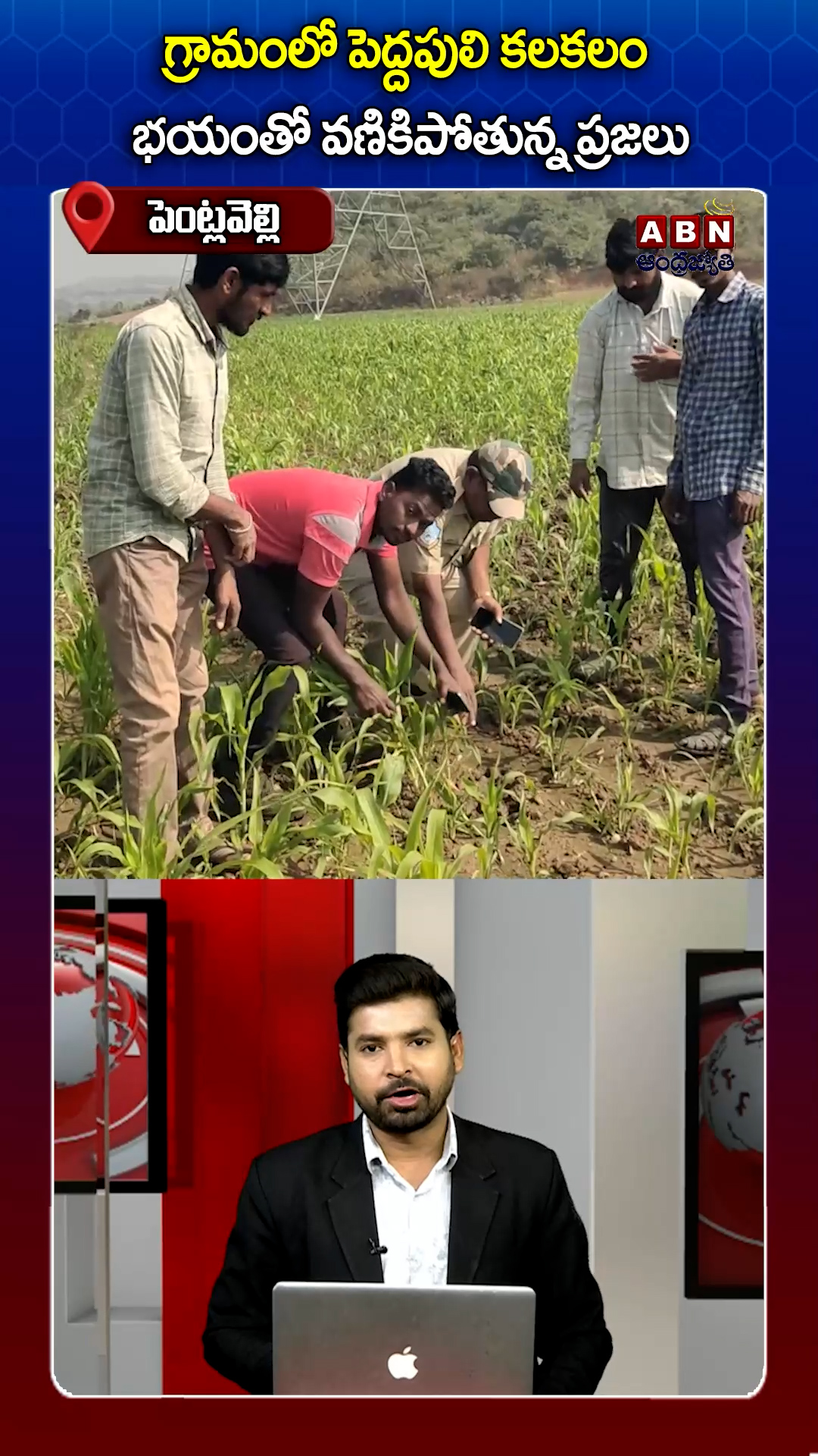 నాగర్ కర్నూల్ జిల్లాలో పెద్దపులి కలకలం!