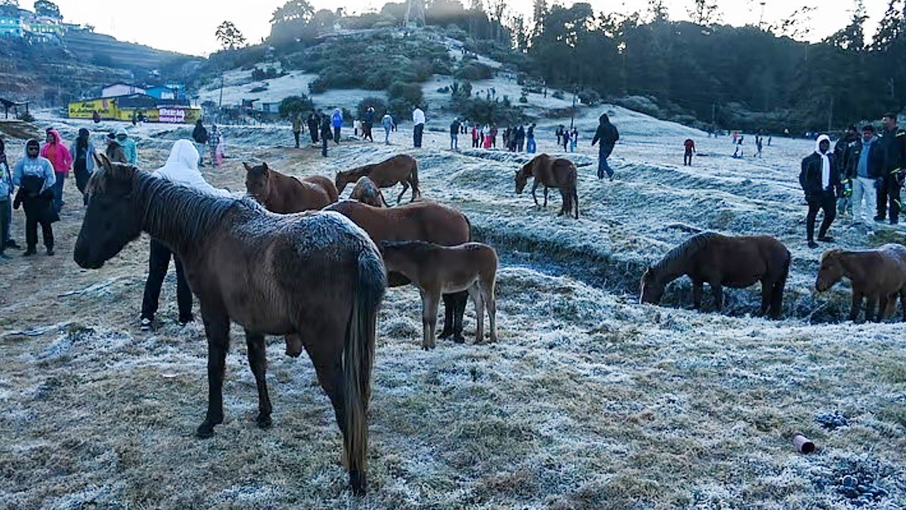 Winter-Ooty Trip: ఊటీ.. మోస్ట్ బ్యూటీ.. ప్రకృతి సోయగాలను చూసేయండి..