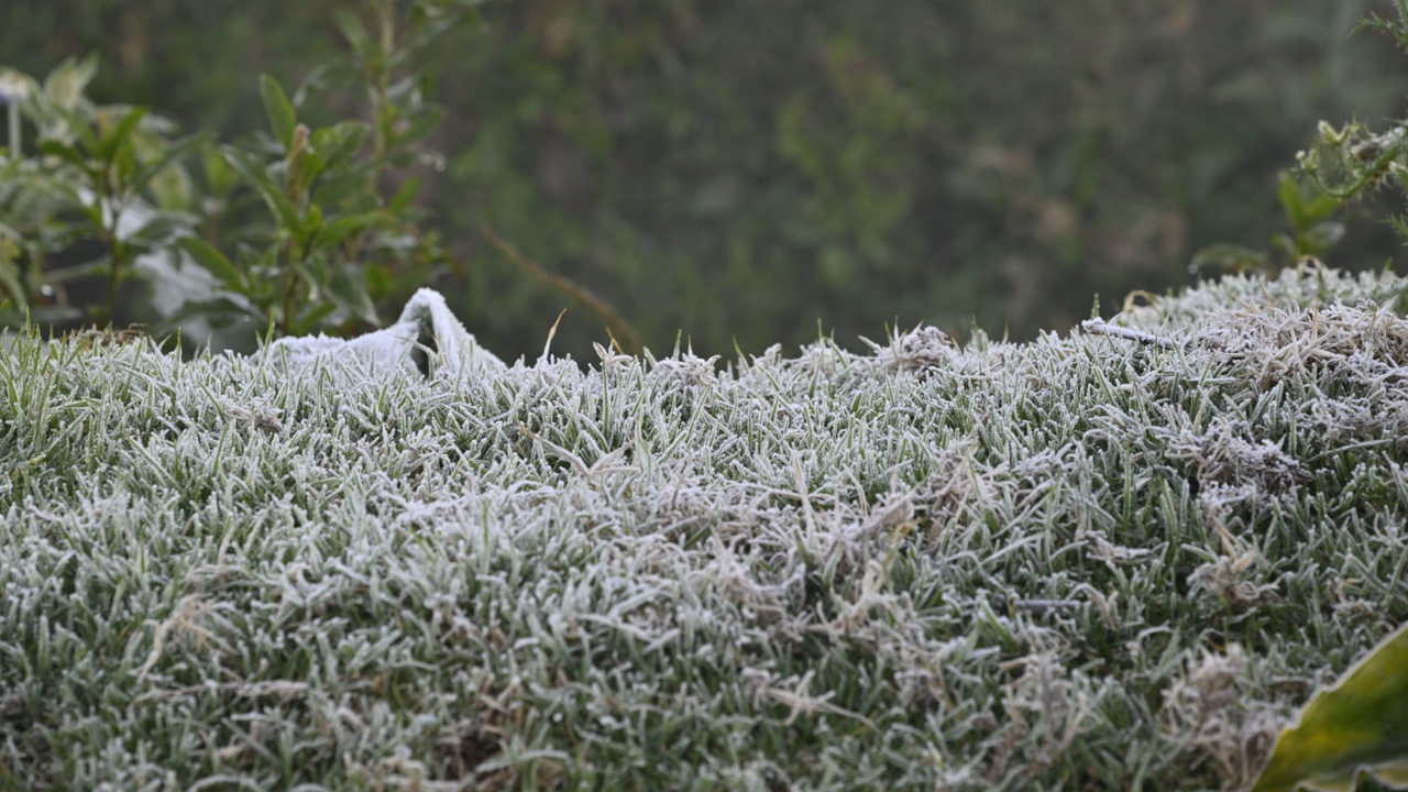 Winter-Ooty Trip: ఊటీ.. మోస్ట్ బ్యూటీ.. ప్రకృతి సోయగాలను చూసేయండి..