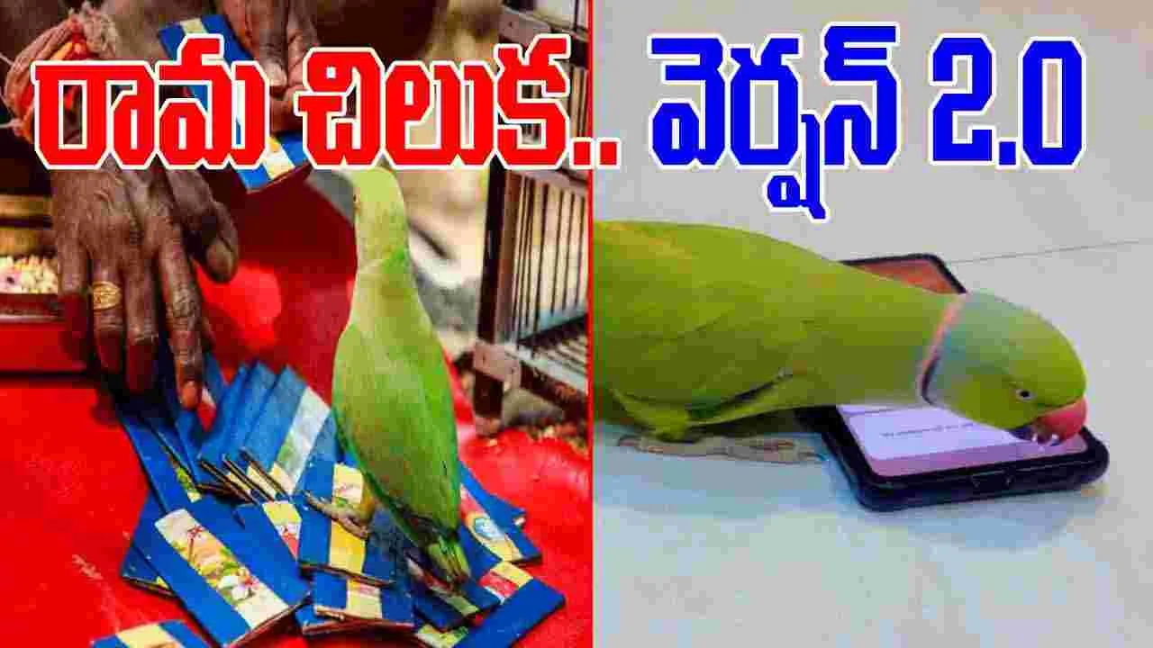 Parrot Funny Video: పూర్తిగా అప్‌డేట్ అయిన చిలుక.. ఏం చేస్తుందో చూస్తే నోరెళ్లబెడతారు.. 