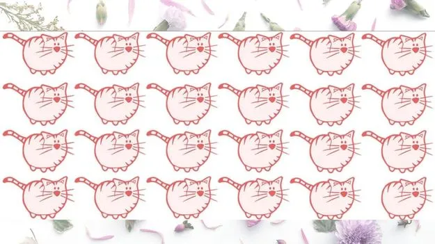 Optical Illusion Test: మీ ఐక్యూ పవర్‌కు టెస్ట్.. వీటిల్లో భిన్నమైన పిల్లిని 5 సెకెన్లలో కనిపెట్టండి..