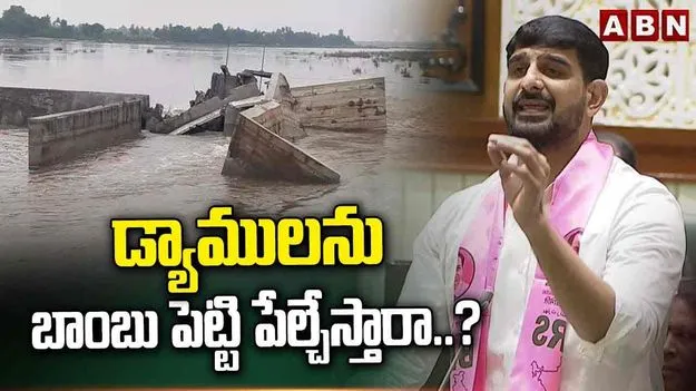 Telangana Assembly: ఎమ్మెల్యే కౌశిక్ రెడ్డి వ్యాఖ్యలు.. అసెంబ్లీలో దుమారం