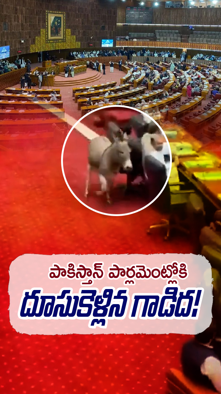 ఫ్యాక్ట్ చెక్! పాకిస్తాన్ AI వీడియో వైరల్!!