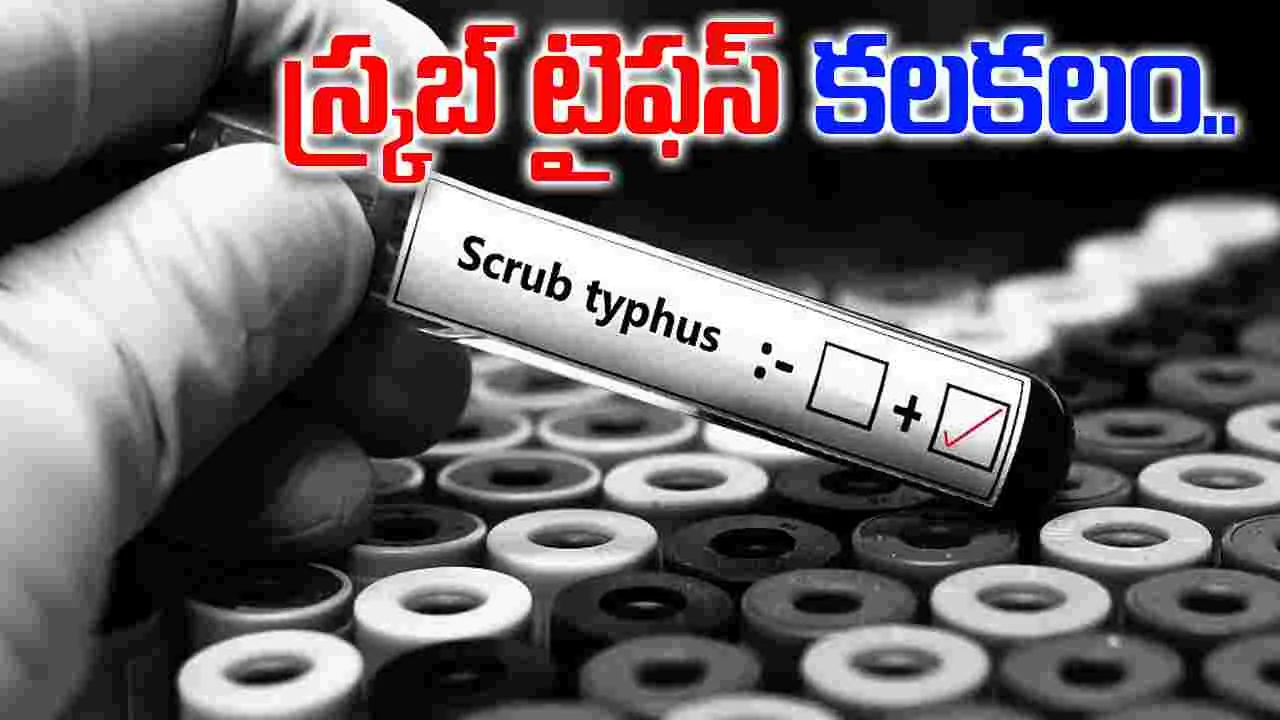 Palnadu Scrub Typhus: పల్నాడు జిల్లాలో స్క్రబ్ టైఫస్ కలకలం.. ఇద్దరు మృతి