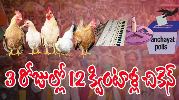Local Body Election: 3 రోజుల్లో 12 క్వింటాళ్ల చికెన్ హాంఫట్