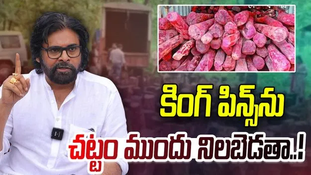 Red Sanders Smuggling: కింగ్ పిన్స్‌‌కు పవన్ కల్యాణ్ స్ట్రాంగ్ వార్నింగ్.. ఎర్రచందనం అక్రమ రవాణా చేశారో.. 