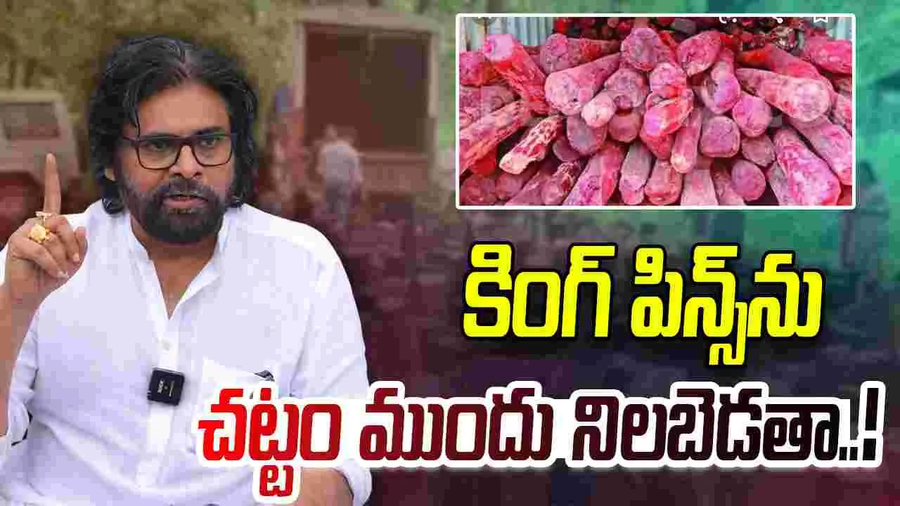 Red Sanders Smuggling: కింగ్ పిన్స్‌‌కు పవన్ కల్యాణ్ స్ట్రాంగ్ వార్నింగ్.. ఎర్రచందనం అక్రమ రవాణా చేశారో.. 