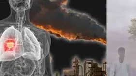 Pollution: ప్రమాదంలో ఢిల్లీ.. అధ్యయనాలు ఏం చెబుతున్నాయంటే.. 