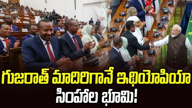 Prime Minister Modi: గుజరాత్‌ మాదిరిగానే ఇథియోపియా సింహాల భూమి!