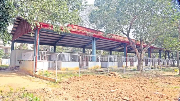 ఏం చేస్తారో?