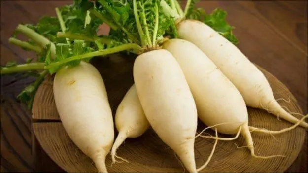 Radish Food Combination: ముల్లంగిని వీటితో కలిపి అస్సలు తినకండి.. 