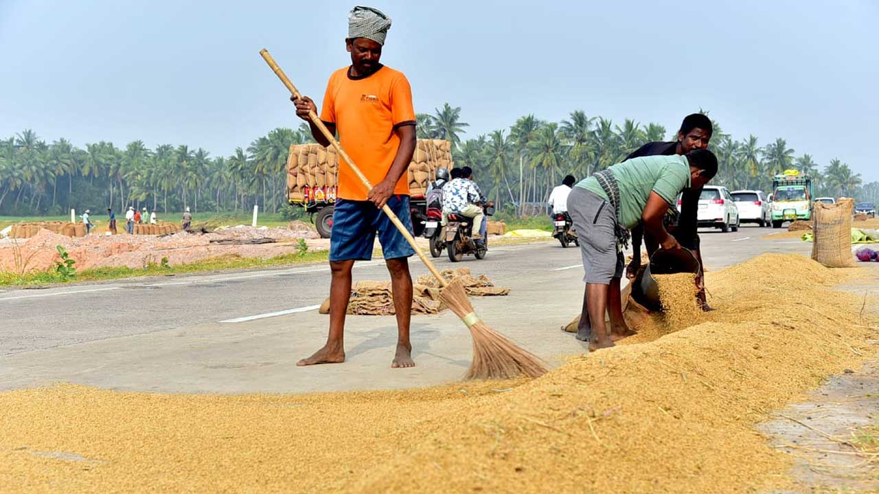 Cyclone Alert: తుఫాను హెచ్చరిక.. ధాన్యాన్ని సంచుల్లోకి ఎత్తుతున్న రైతులు