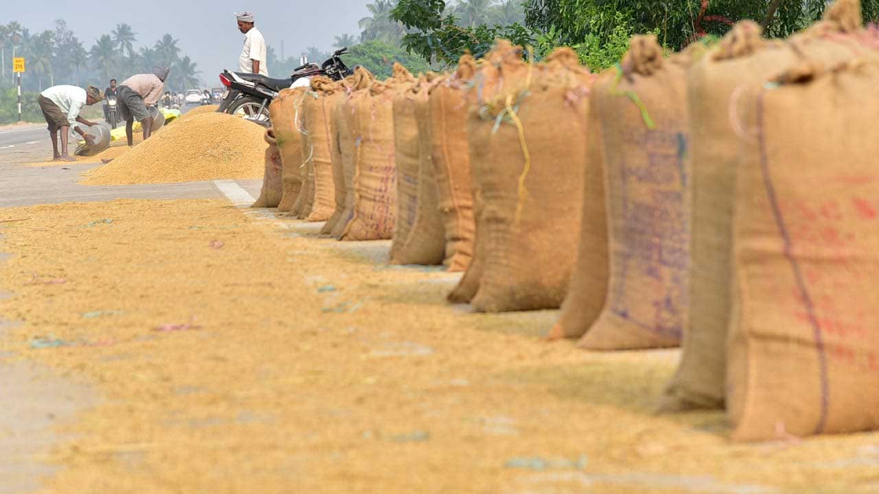 Cyclone Alert: తుఫాను హెచ్చరిక.. ధాన్యాన్ని సంచుల్లోకి ఎత్తుతున్న రైతులు