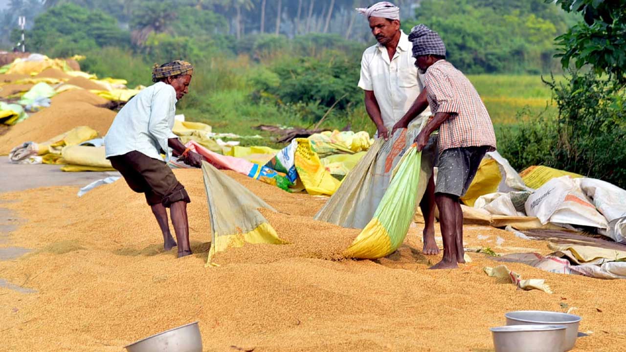 Cyclone Alert: తుఫాను హెచ్చరిక.. ధాన్యాన్ని సంచుల్లోకి ఎత్తుతున్న రైతులు