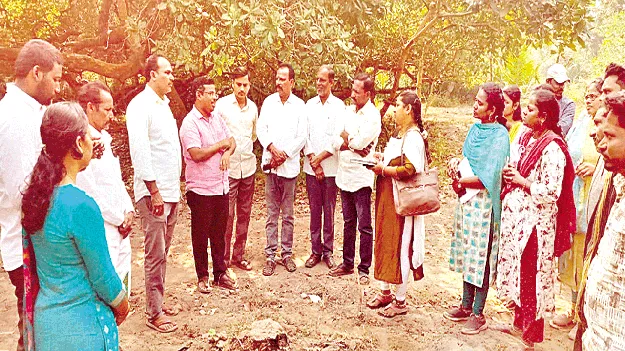 సస్యరక్షణ చర్యలు చేపట్టాలి