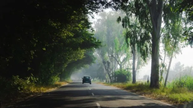 Best Road Trips in India:  భారత్‌లో బెస్ట్ రోడ్డు ట్రిప్‌లు ఏవో తెలుసా?