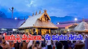 Sabarimala Temple: శబరిమలకు వెళ్లలేని స్వాములు.. ఇక్కడ కూడా మాల విరమణ చేయొచ్చు.. 