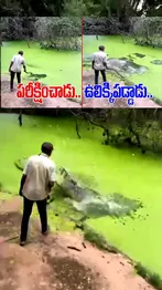 ABN Andhrajyothy Telugu Short News Video - Quick News Updates in 60 Seconds