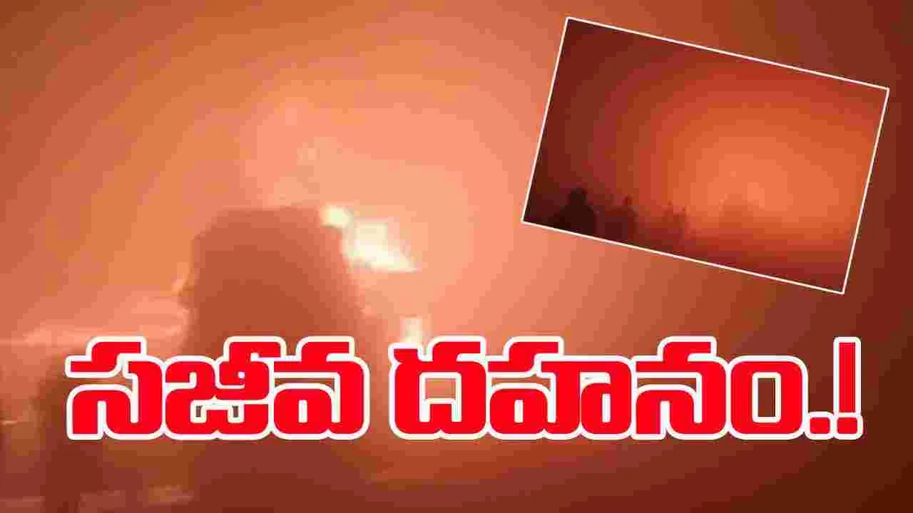 Delhi Agra Expressway Bus fire: ఢిల్లీ-ఆగ్రా ఎక్స్‌ప్రెస్ హైవేపై ఘోర ప్రమాదం.. పలువురు మృతి!